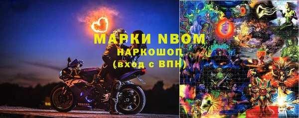 гидра Кинешма
