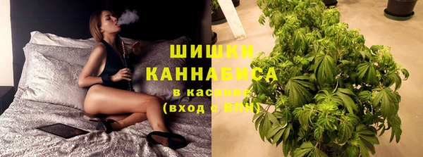 spice Костерёво