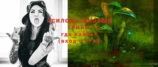 тгк Козловка